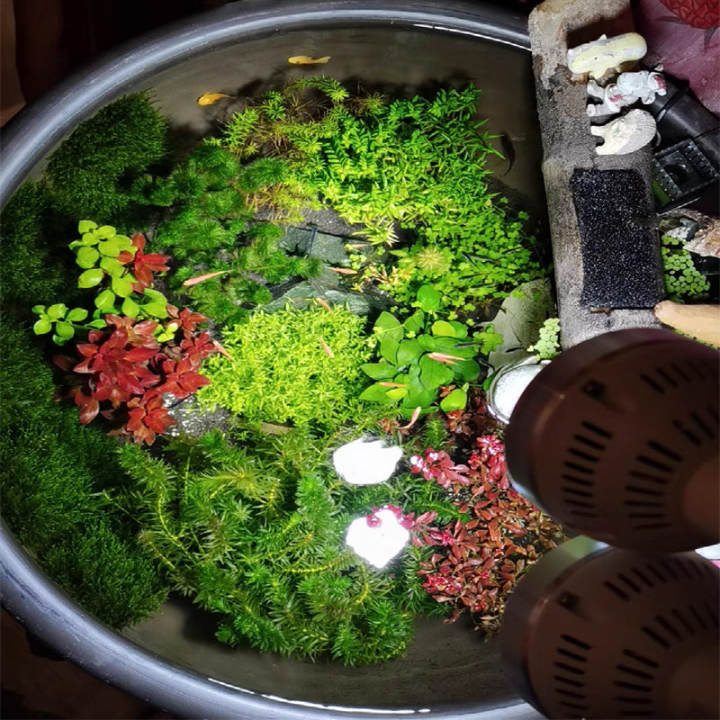 全光谱水草补光灯陶瓷鱼缸专用灯图片