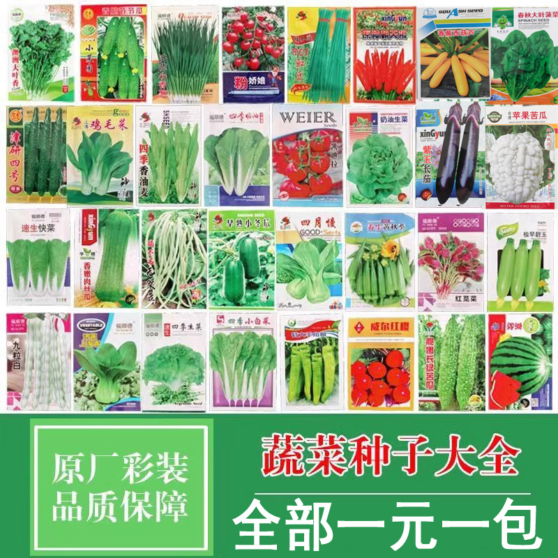 蔬菜种子四季播盆栽阳台庭院香菜生菜菠菜萝卜葱简单易种籽孑大全