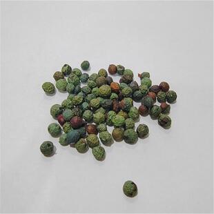 黄连木种子 黄鹂芽茶树种子 黄鹂牙种子 药树 鸡冠木 黄鹂茶楷树