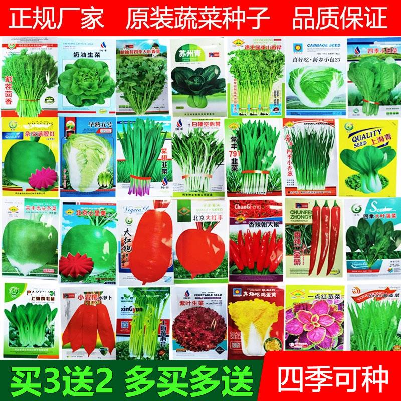 满3送2蔬菜种子四季播盆栽