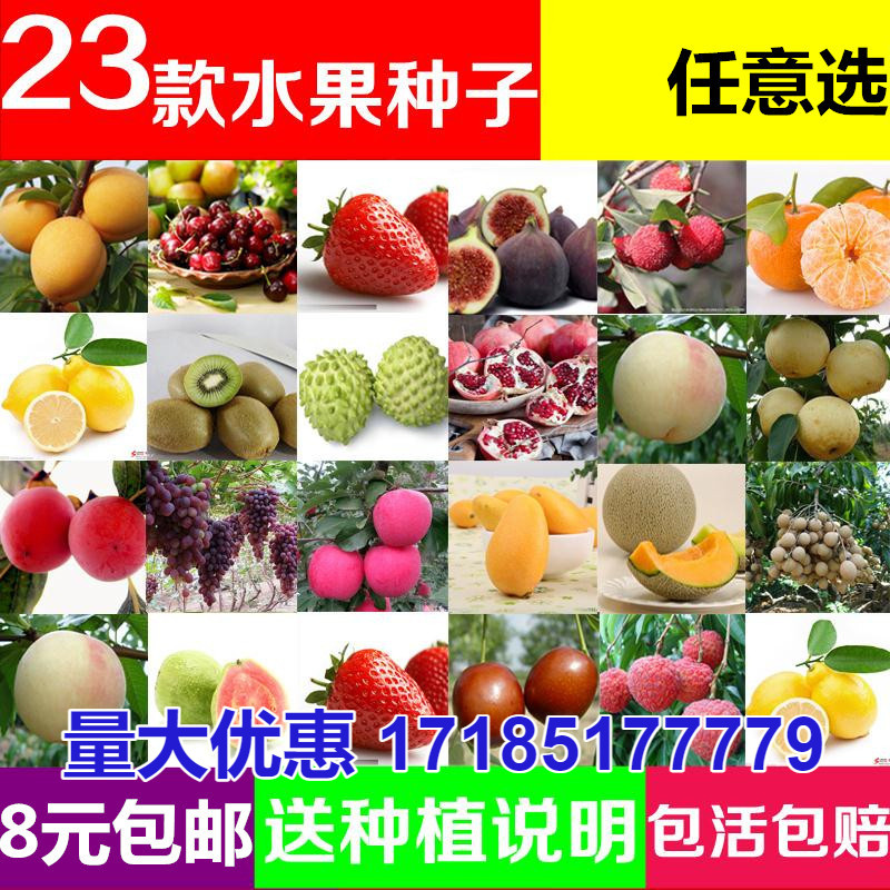 水果种子四季易种播阳台种子蔬菜种子包邮秋季草莓种籽家种盆栽