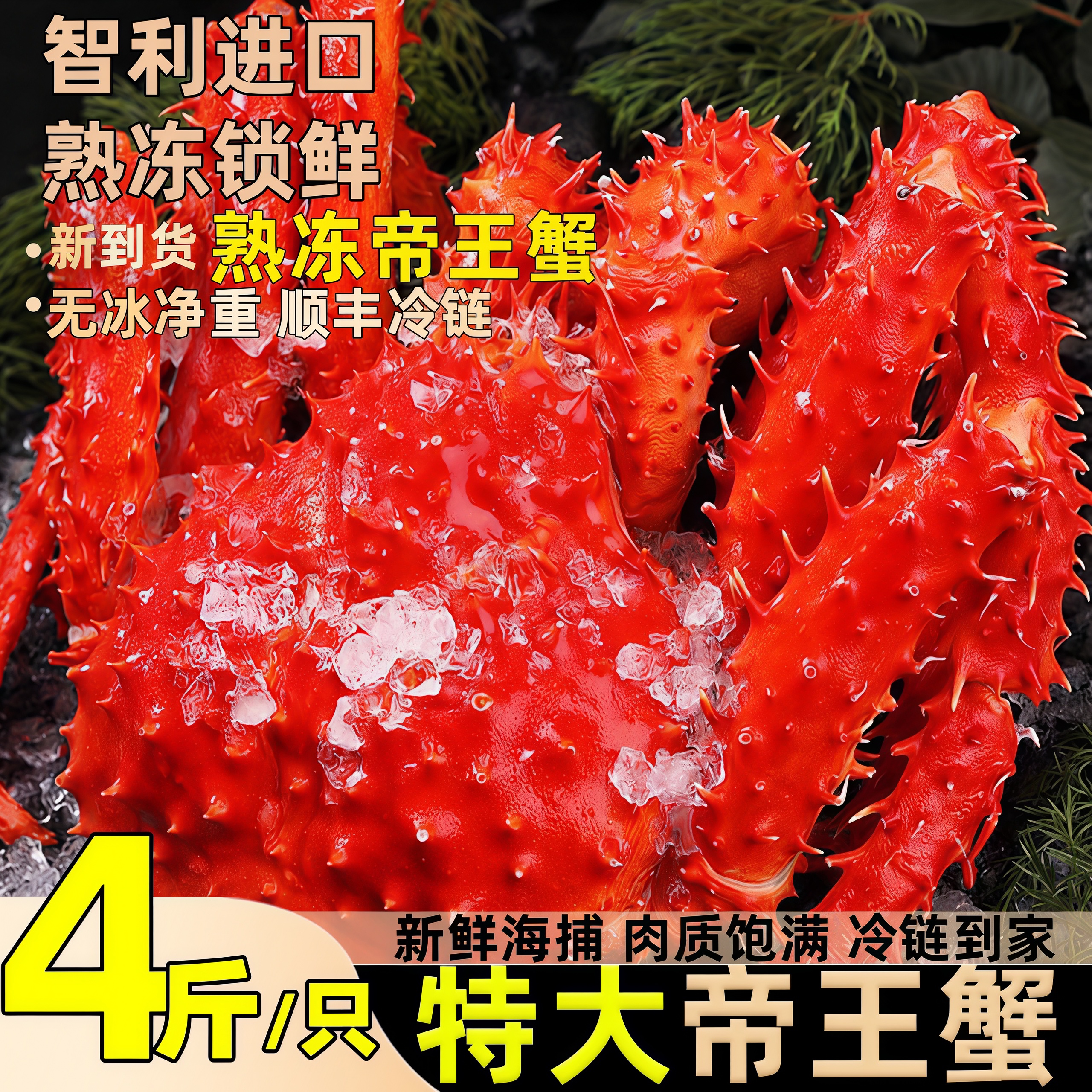 智利熟冻帝王蟹进口特大皇帝蟹