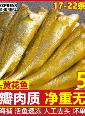 去头小黄花鱼海鱼黄鱼新鲜海鲜冷冻水产生鲜鱼类油炸香酥小黄鱼