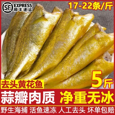 去头小黄花鱼海鱼黄鱼新鲜海鲜冷冻水产生鲜鱼类油炸香酥小黄鱼