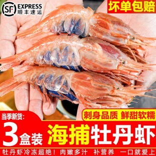 牡丹虾刺身鲜活大号生吃即食甜虾蝴蝶虾太子虾鳌虾整箱批发顺丰