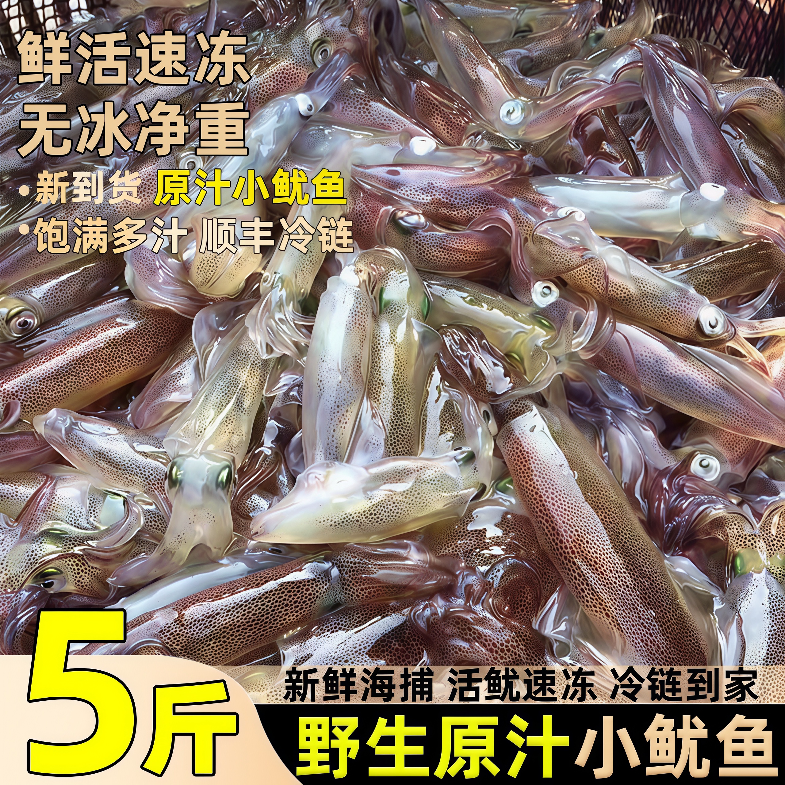 小管鱿鱼冷冻乌贼白灼鱿鱼笔管鱼