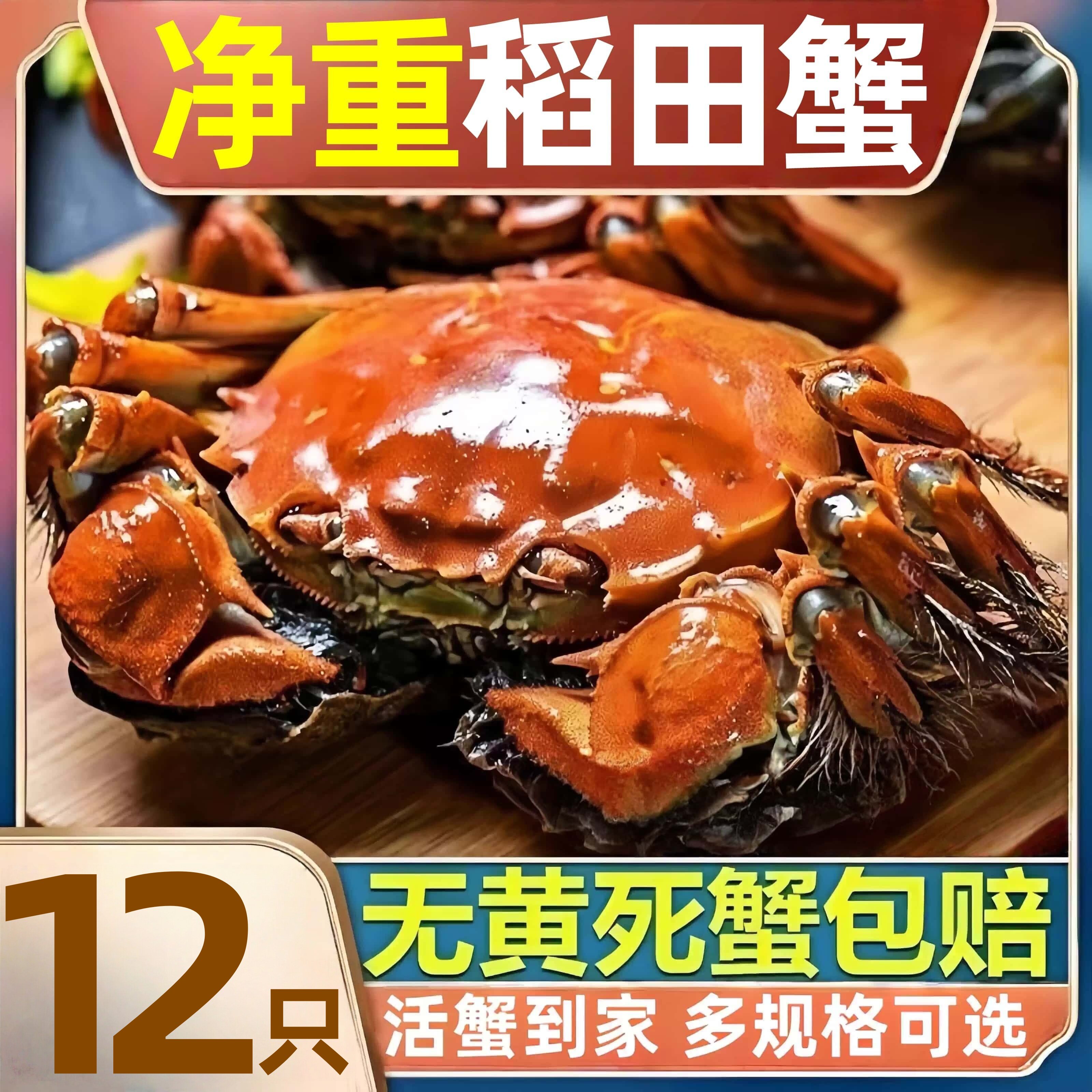 盘锦河蟹鲜活稻田蟹顶盖肥螃蟹