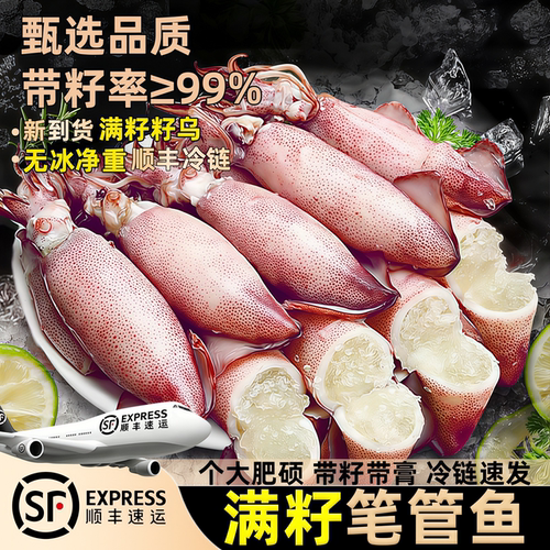 笔管鱼满籽鲜活冷冻籽乌海兔子