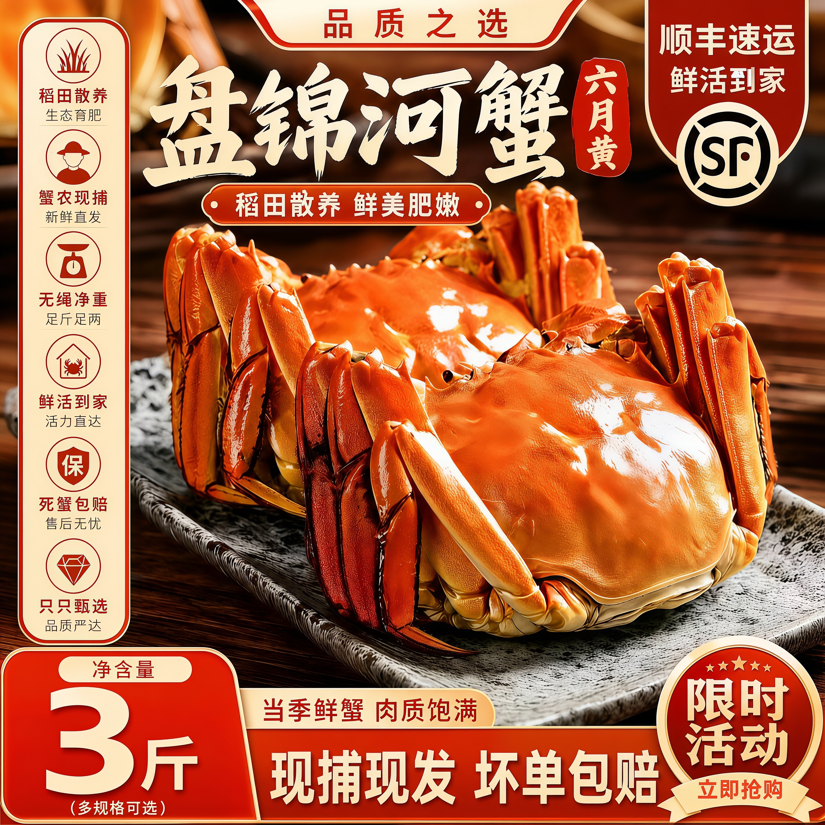 【活蟹】3斤鲜活螃蟹盘锦河蟹六月黄公蟹特大蟹湖蟹送礼含绳河蟹