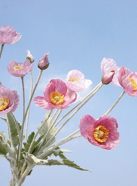 仿真花罂粟花4头小虞美人罂粟假花花卉婚庆家居室内摆件装饰花
