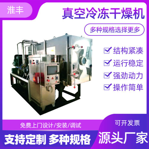 淮丰厂家供应肉类冻干机食品水果低温冻干设备真空冷冻干燥机