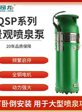 QSPF喷泉不锈钢耐腐蚀潜水泵 304材质园林用喷泉潜水泵厂家直销
