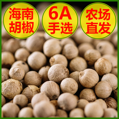 海南特级白胡椒粒农场产地直发纯