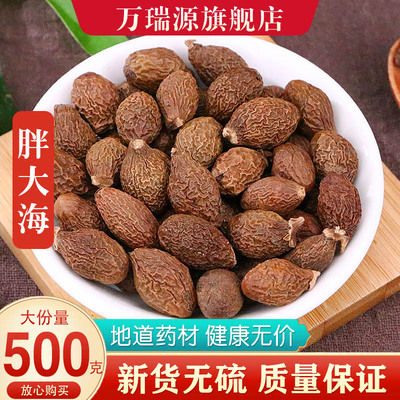 胖大海中药泡茶正品散装