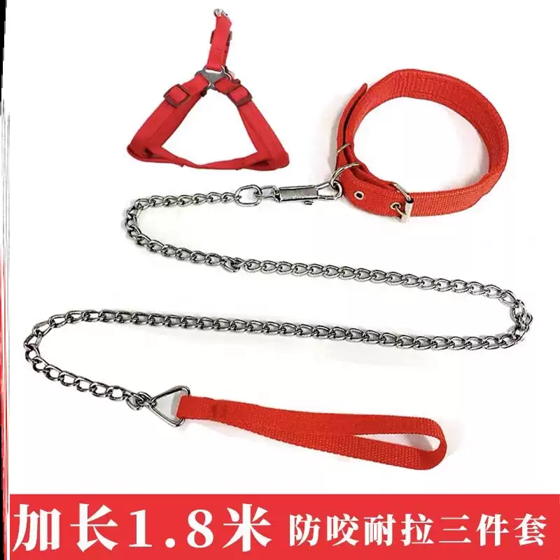 宠物狗狗牵引绳铁炼子泰迪金毛