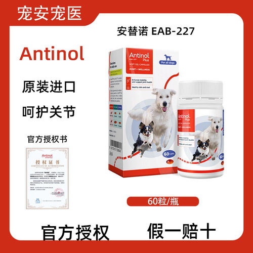 Antinol安替诺新西兰原装进口277安适得宠物鱼油软骨素犬猫咪通用