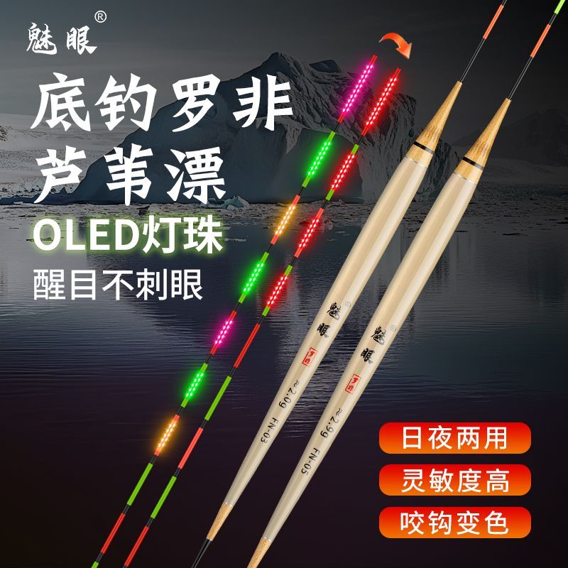 魅眼芦苇OLED罗非夜光电
