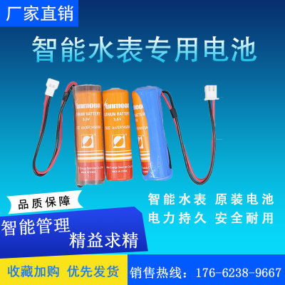 新品家用预付费智能水表电池瀚兴日月3.6VER14505M18505M17505M锂