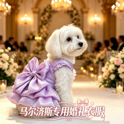 马尔济斯专用狗狗婚礼衣服结婚礼公主服连衣裙子小型犬参加婚礼薄