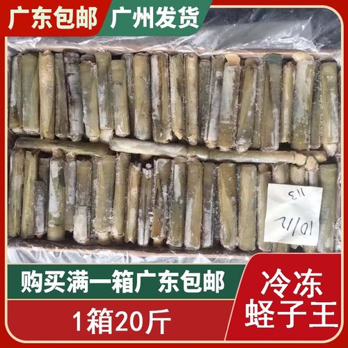 竹蛏子王价格 竹蛏子王图片 星期三