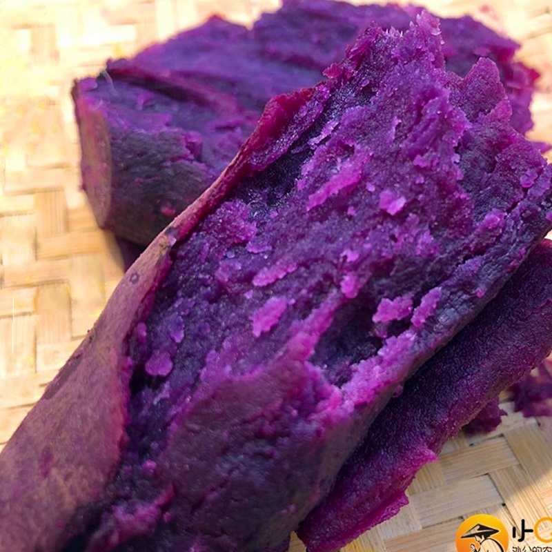紫薯新鲜农家自种紫红薯现挖新鲜10斤小紫薯紫薯新鲜