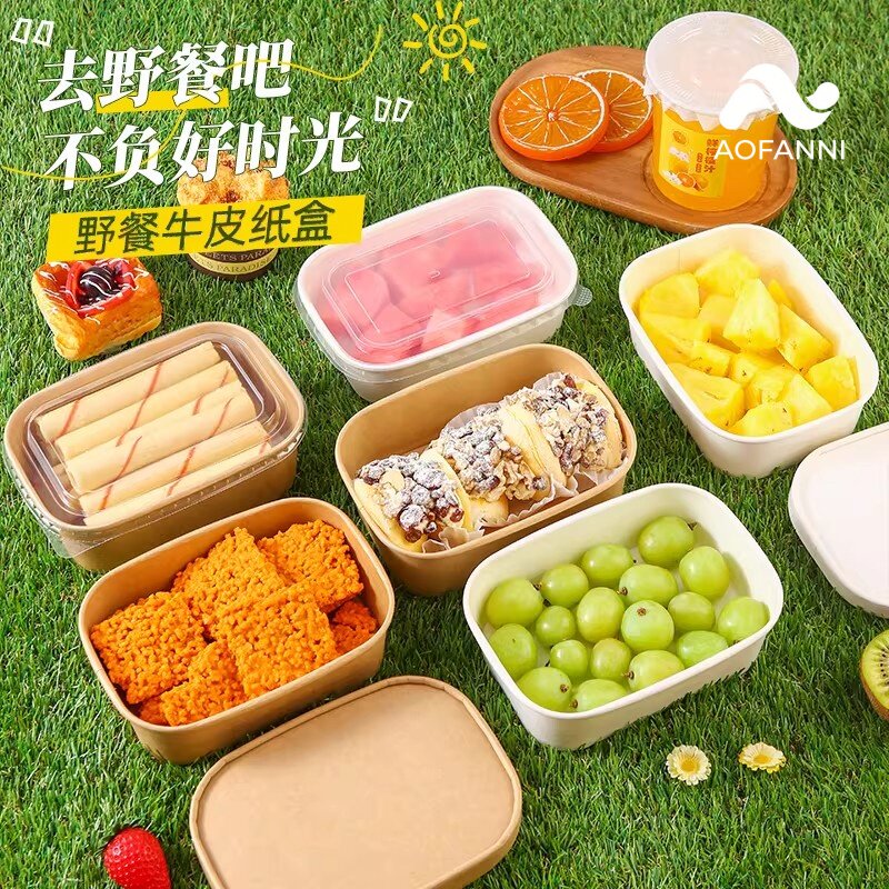 野餐一次性餐盒春游户外水果切打包露营带盖盒子寿司食品级便当盒