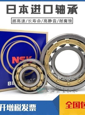 NSK日本进口 RN NUP321 322 323 324 326 328 330 332 EM C3 轴承