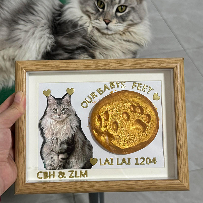 猫咪爪印纪念相框摆件宠物狗狗diy爪印印泥脚印生日照片纪念留念