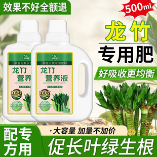 文昌竹营养液治黄叶促生长叶绿生根富贵竹子水培龙竹专用肥营养液