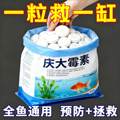 鱼病专用药烂身烂尾白点掉磷