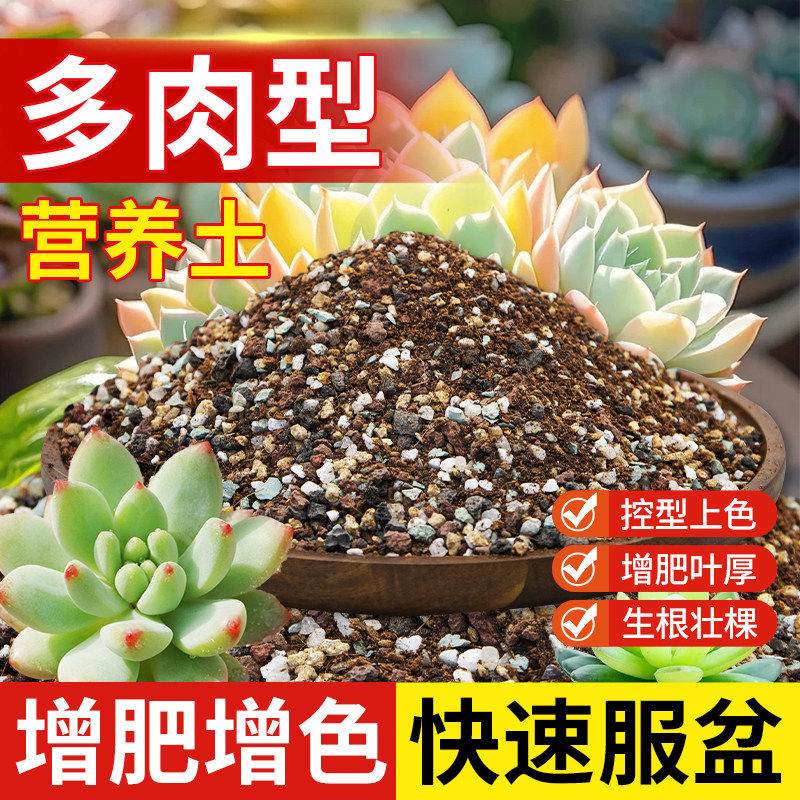 多肉颗粒土专用营养土植物泥炭种植土壤肉肉叶插小苗老桩颗粒花土