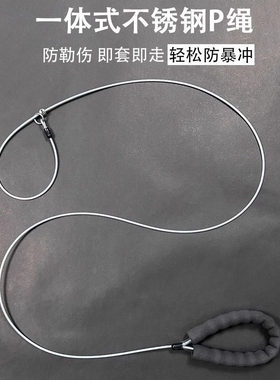 德国进口一体式宠物牵引钢丝绳子