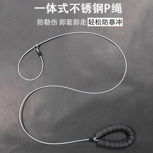 德国进口一体式宠物牵引钢丝绳子