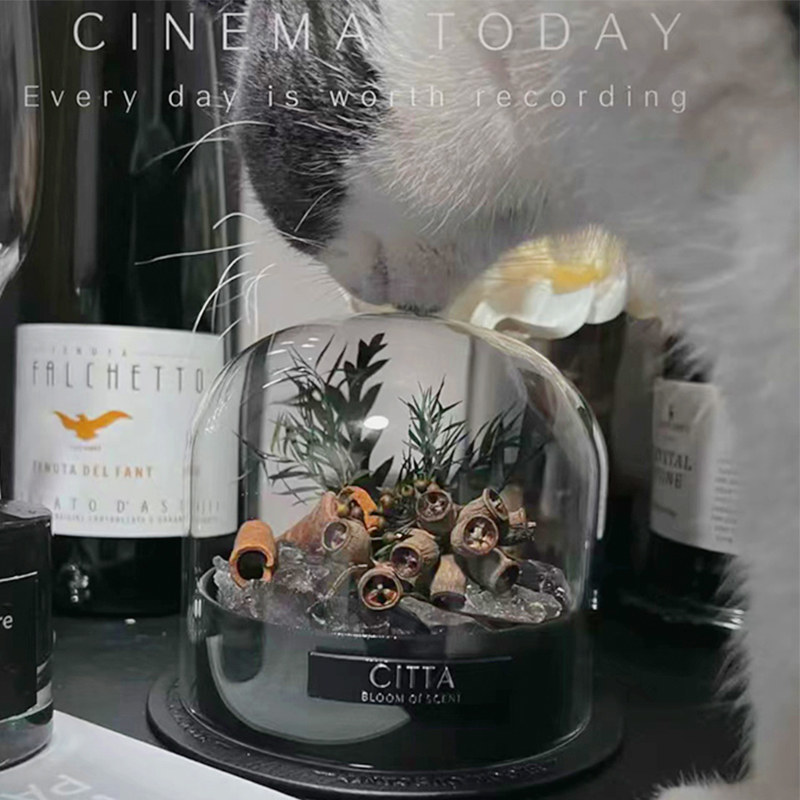 CITTA西苔&扩香石香薰礼盒助眠小众高级生日礼物送男女生香氛摆件