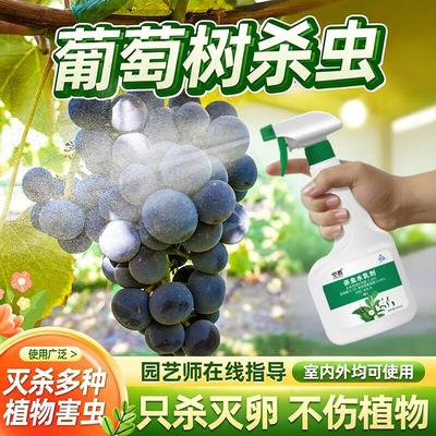 灭葡萄藤虫害生虫长虫去虫子叶除树杀虫剂虫药有药果树专用介壳苗