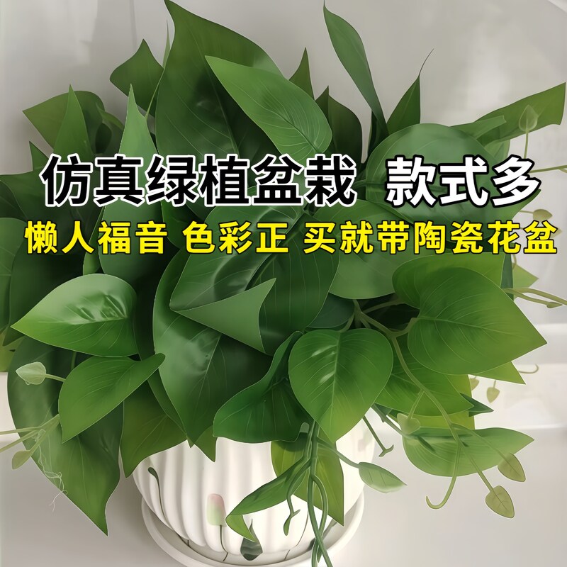 办公室植物装饰套装摆件绿植盆栽仿真摆设新仿真家居客厅绿萝花草