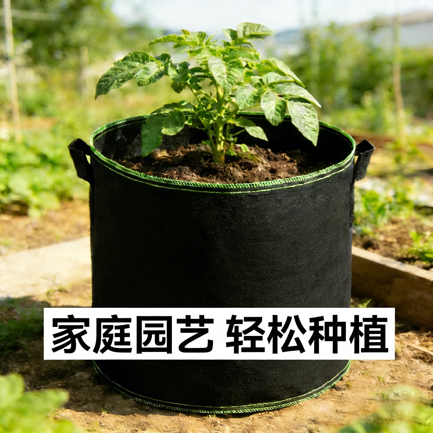 美植袋黑色加厚无纺布种植袋大号育苗袋园林绿化花盆庭院种植专用