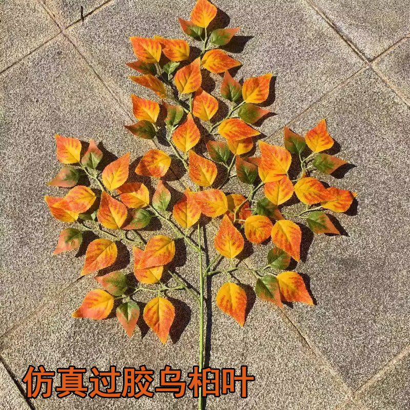 仿真单支乌桕叶假菩提树叶彩色树叶桦树叶银杏叶枯树枝装饰假叶子