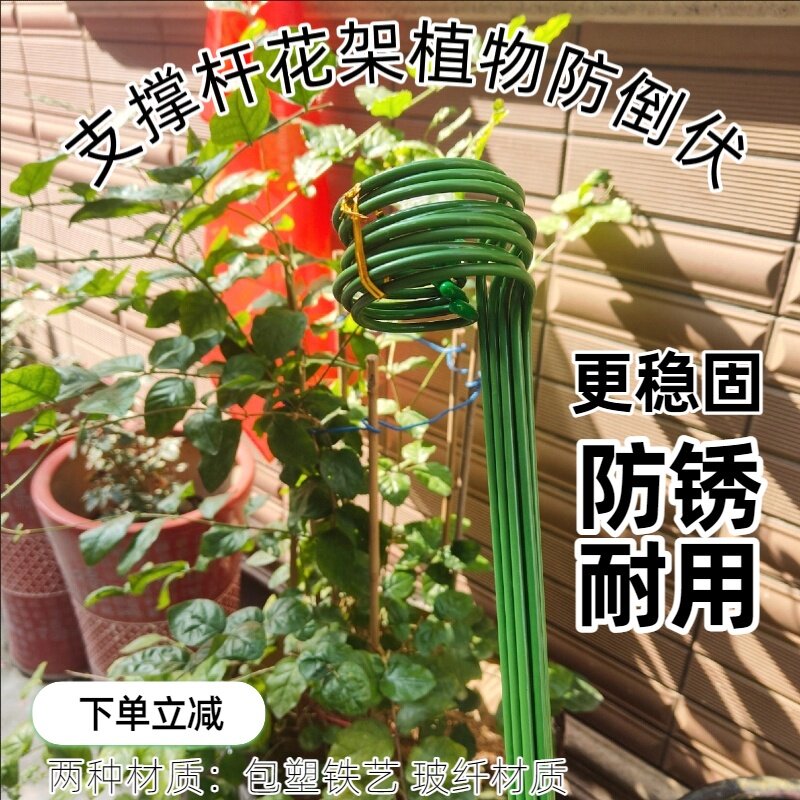 花支柱金钱树龟背竹天堂鸟植物架防倒伏固定护花架子支撑架定型