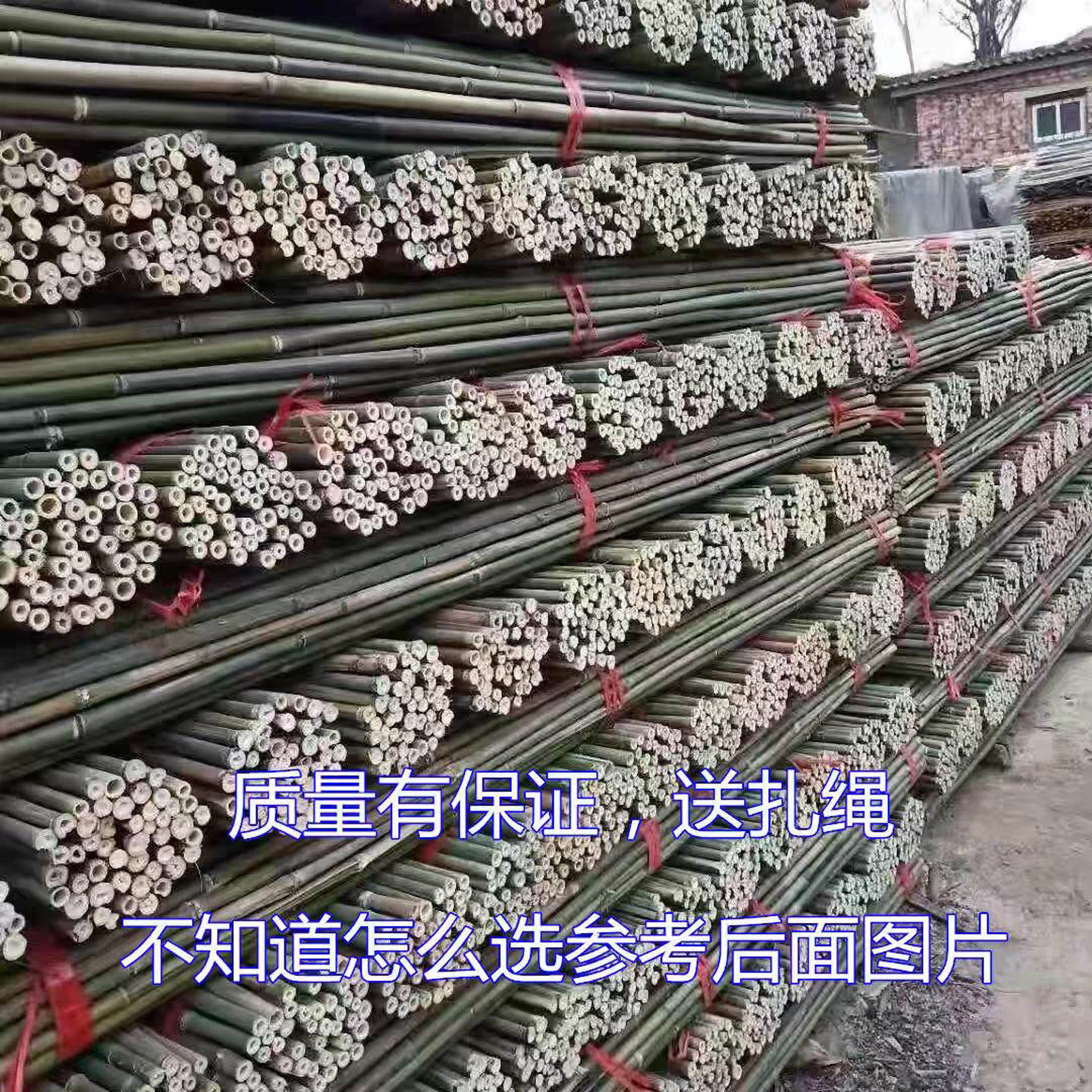 整根竹竿去皮打磨光滑园艺搭架杆