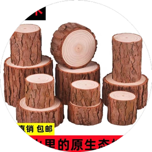 小木桩底座摆件树桩树干原木头杉树摄影拍照园艺木柱木墩装饰道具