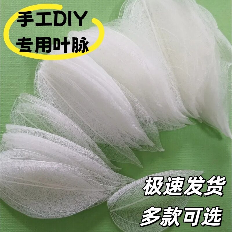 唯美植物天然桢树叶脉书签树叶叶络干花送学生老师创意手工礼物