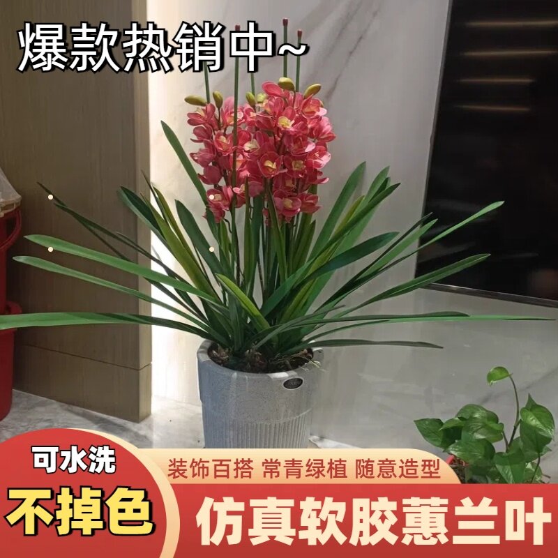 仿真兰花剑兰叶软胶材质蕙兰叶配草假花居家装饰户外造景拍摄道具