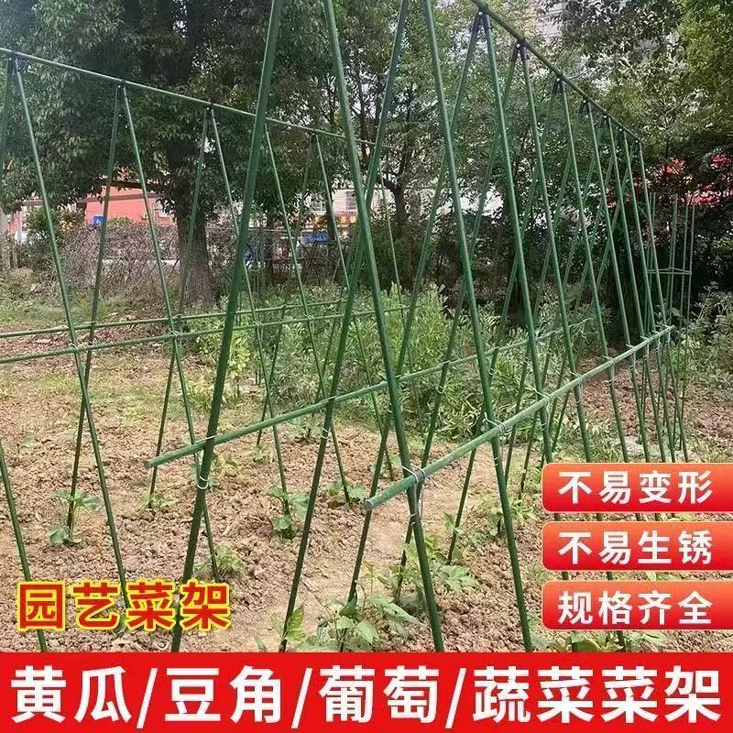 多功能包塑钢管爬藤立柱稳固耐磨家用菜园黄瓜芸豆百香果攀爬支撑