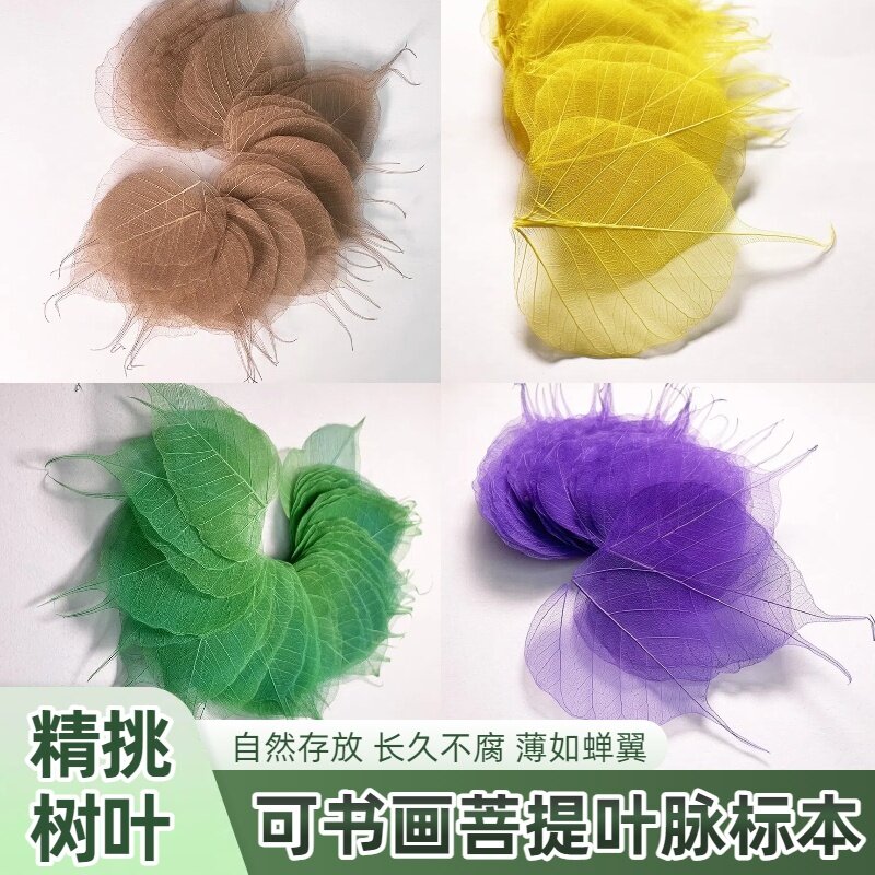 大号玉兰叶脉中号菩提书签干花材料叶脉花制作材料玉兰树叶脉绘