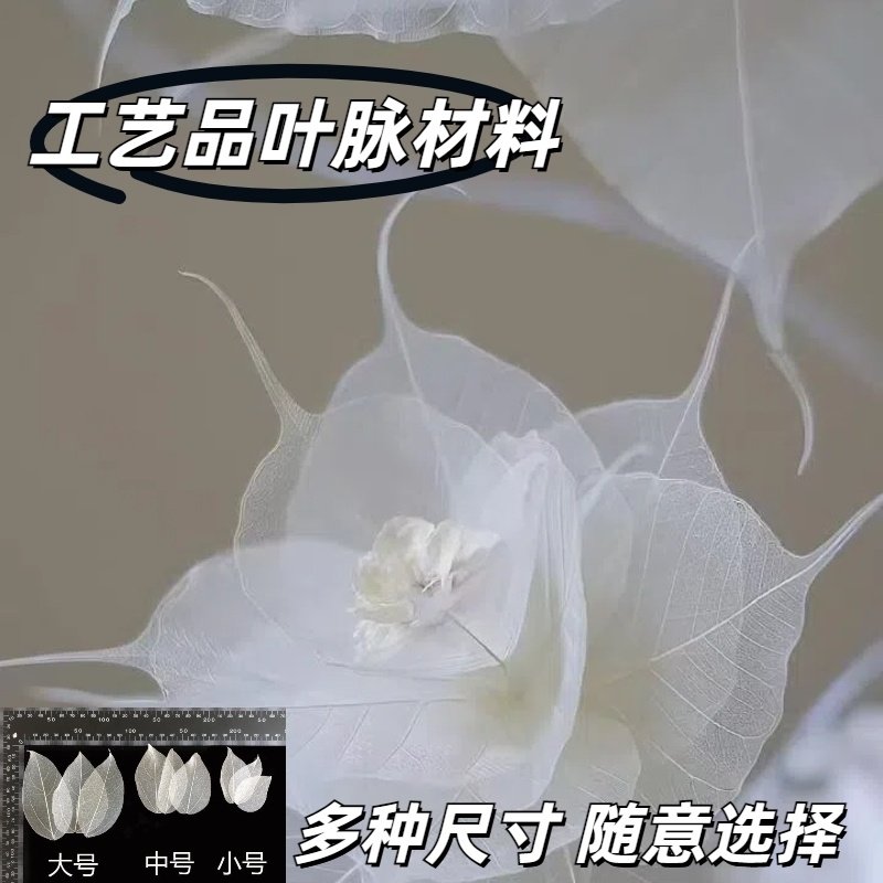 金刚叶脉diy网红叶脉书签制作材料包装饰叶子真树叶地摊绘画透明
