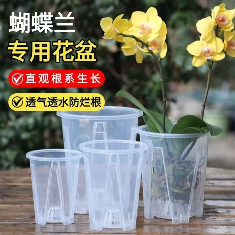 新款超透明青山控根盆兰花水苔蝴蝶兰专用花盆塑料透气镂空大号盆