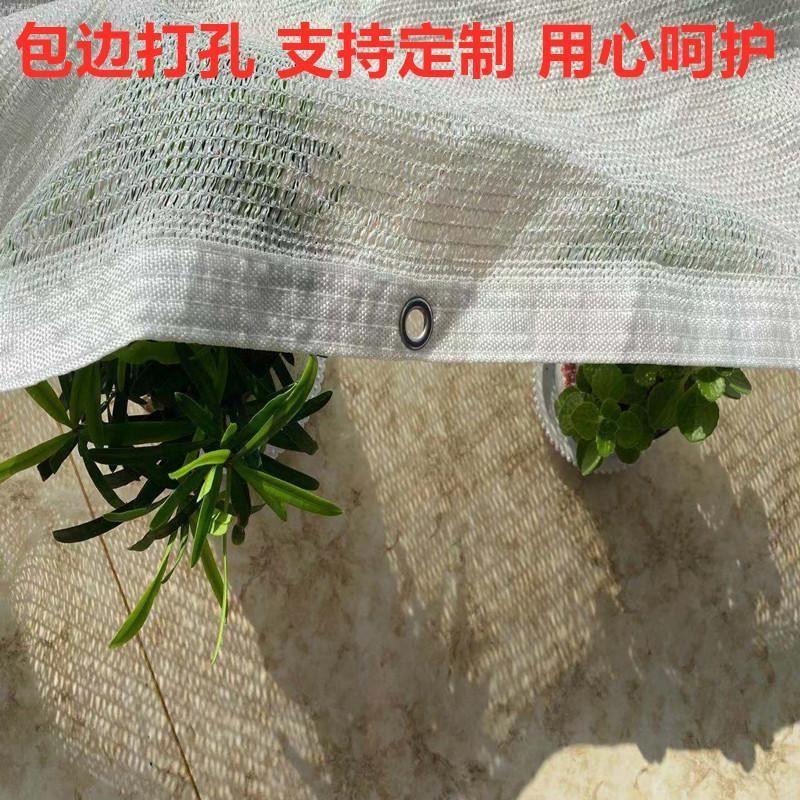 精品白色3针遮阳网抗老化40%遮光多肉花卉蔬菜绿植降温防晒隔热