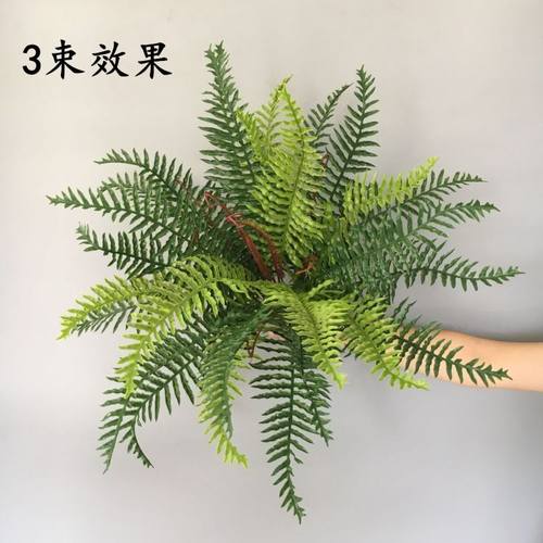 仿真植物波斯蕨草植物墙花艺蜈蚣草园林工程假绿植蕨类