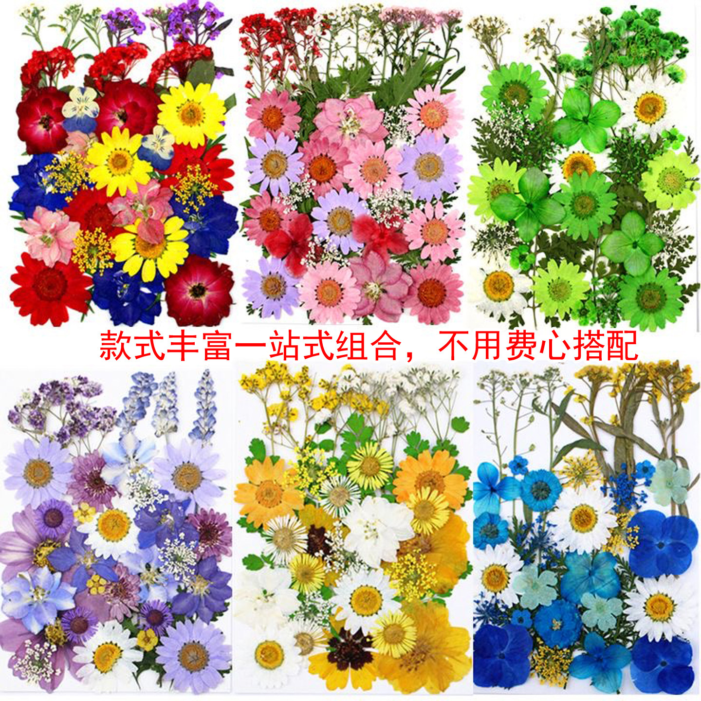 多品种叶片组合包网红干叶贴画